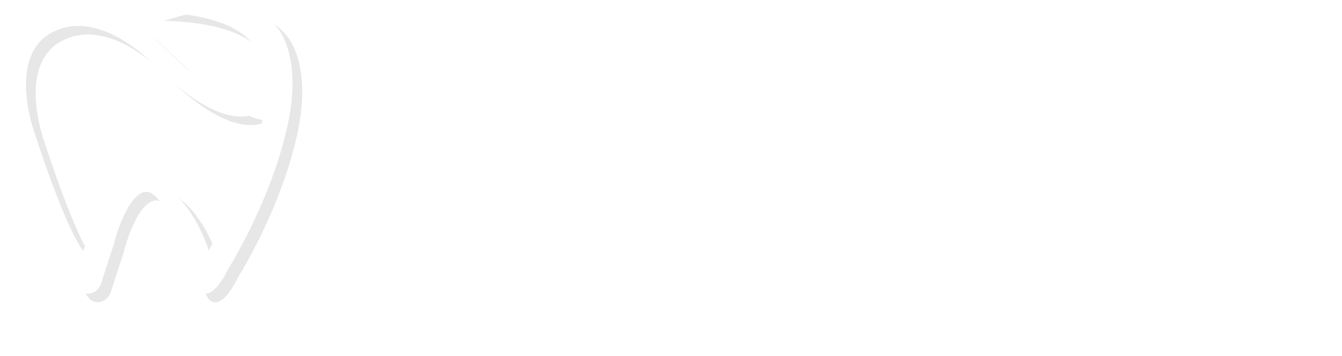 Dentist in Bloomingdale