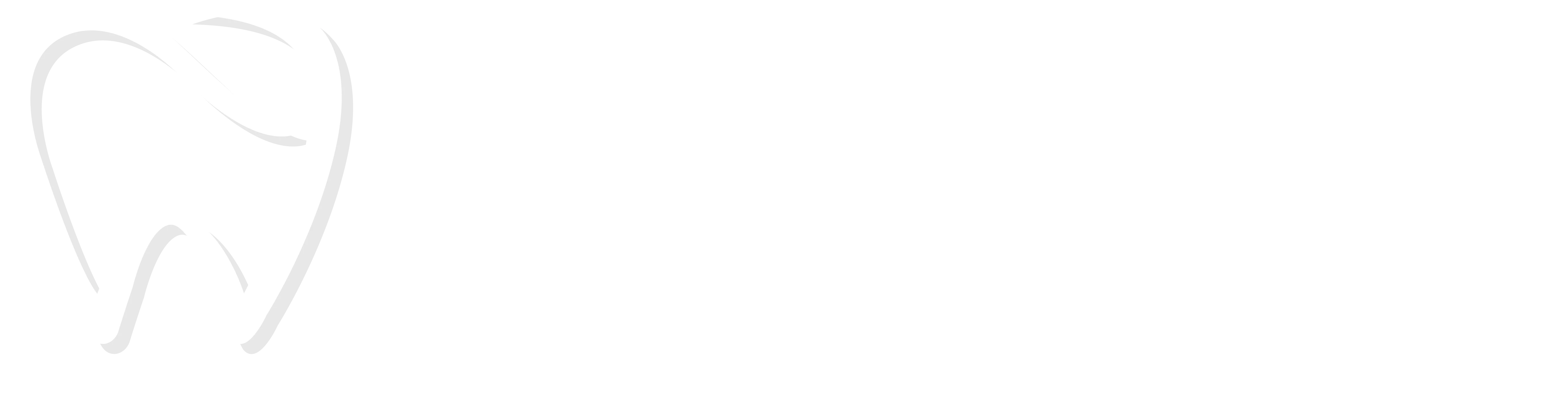 Dentist in Bloomingdale